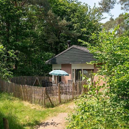 Comfort 6-Person Dog Bungalow In The Holiday Park Landal Heideheuvel Beekbergen Εξωτερικό φωτογραφία